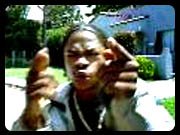 xzibit.gif (15207 bytes)